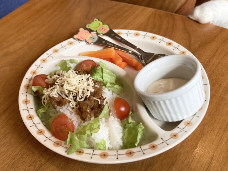 kids lunch plate